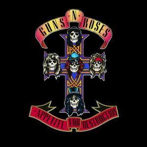 Appetite for Destruction